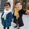 Picture of Kids Boys Wool Long Winter Elegant Collar Over Coat (1 - 6 years) for your BABY Smile